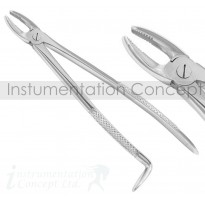 Equine Wolf Tooth Forceps Straight Pattern 